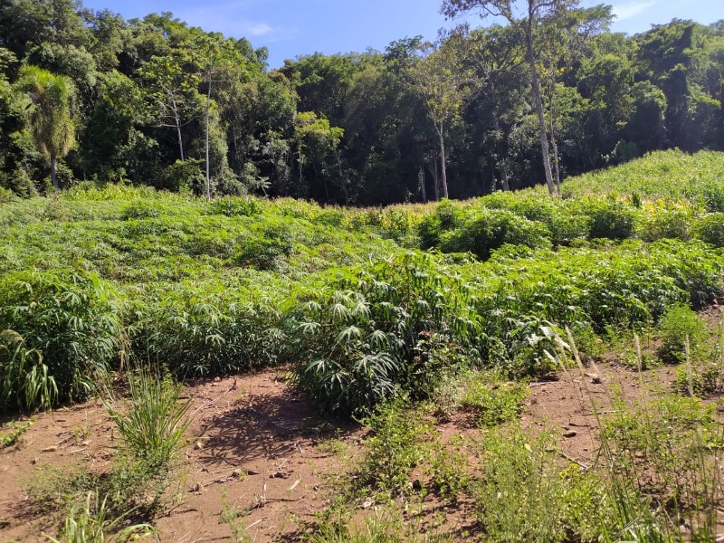 Fazenda/Sítio 65000 m² em Padilha em Taquara, por R$ 595.000